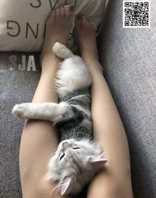 奔跑吧第十一季全集免费