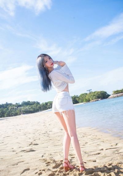 间谍过家家第三季免费观看